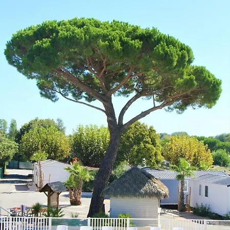 La Pinede Camping Campsite 4*